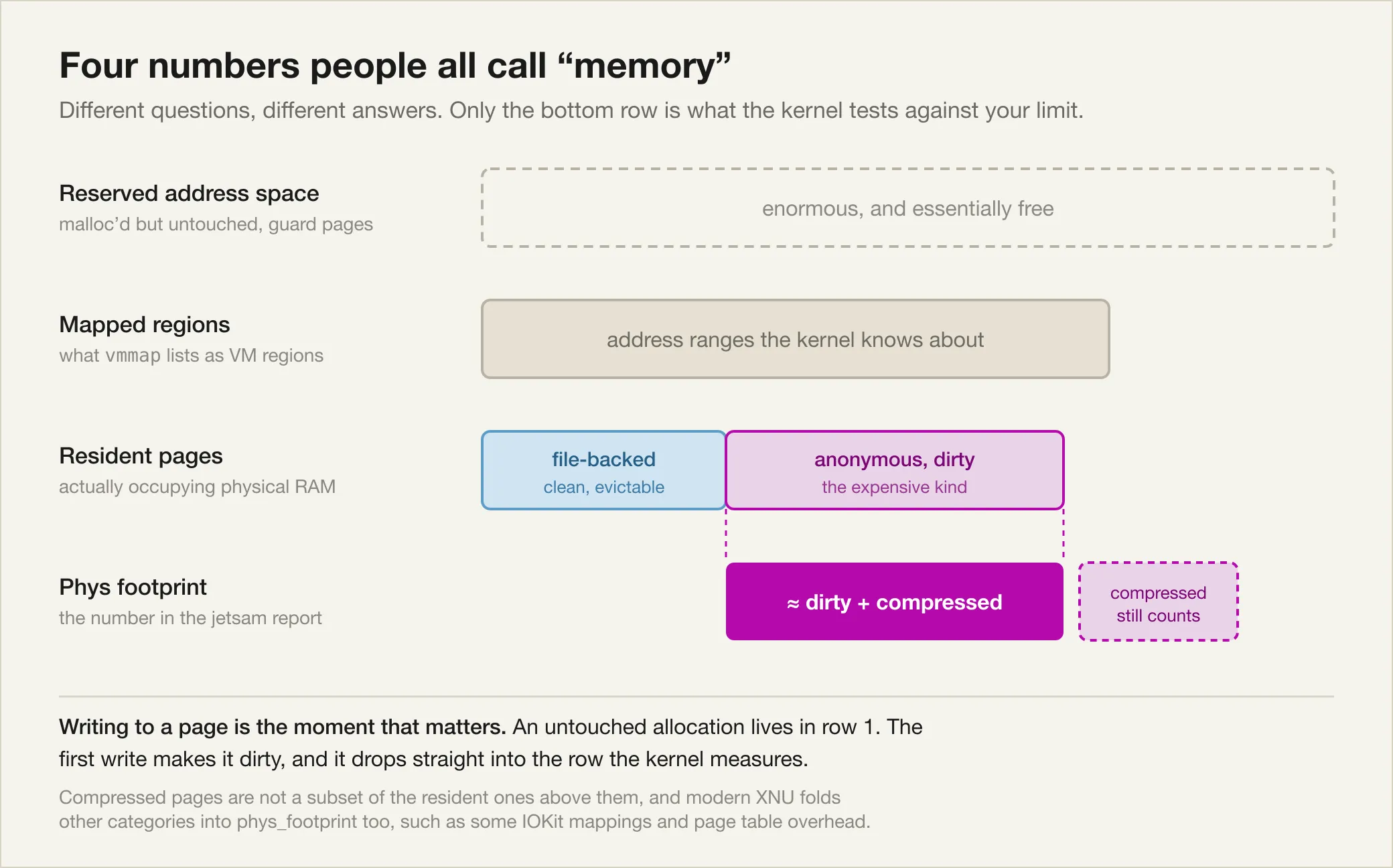 A diagram of four horizontal bars answering different questions. Reserved address space is largest and drawn as an empty dashed outline. Mapped regions is smaller. Resident pages is split into file-backed clean pages and anonymous dirty pages. Phys footprint at the bottom is labelled as approximately dirty plus compressed, with a note that compressed pages are not a subset of the resident ones and that XNU folds other categories in too